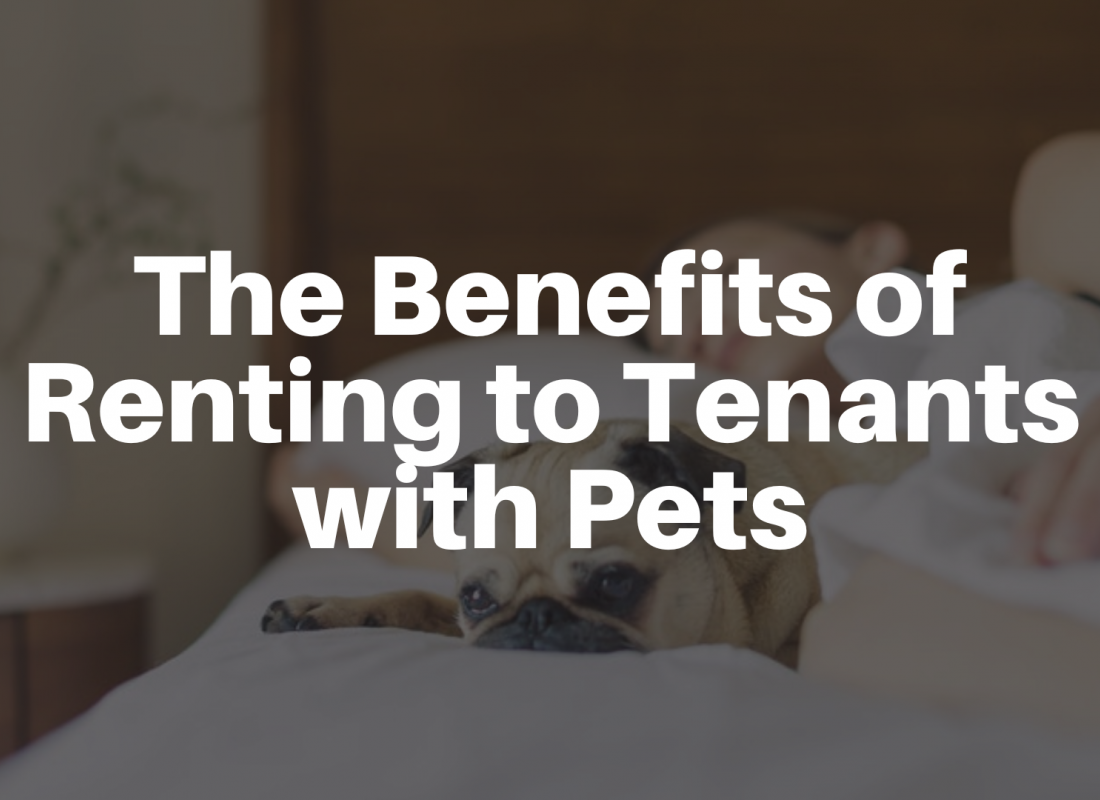 The Benefits of Renting to Tenants with Pets